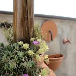 Dame Casa 度假居